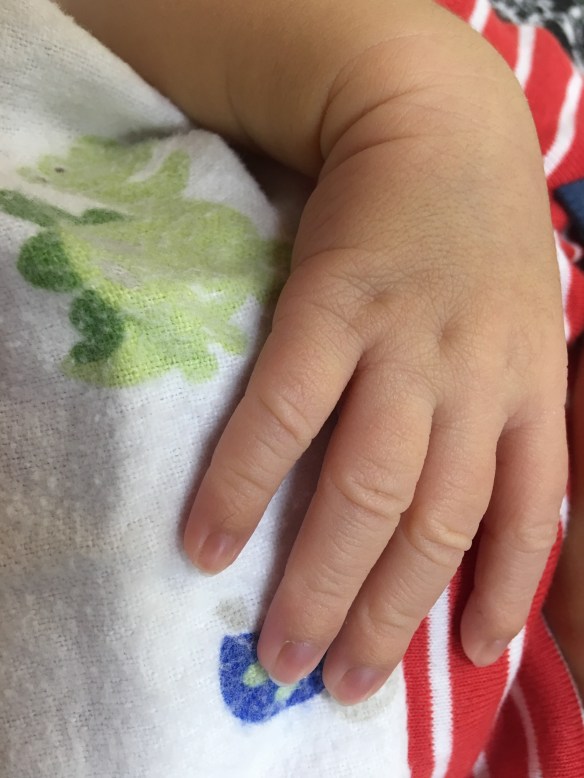 CFDEE0BE-2362-406B-BD31-0D4E84335AFC