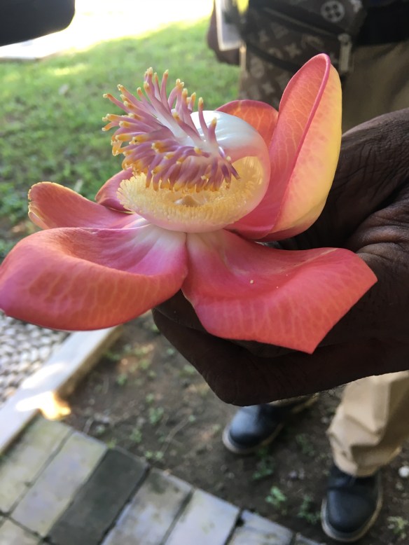 9DB9CBA9-8C4A-4D72-B16F-F30D471182F3