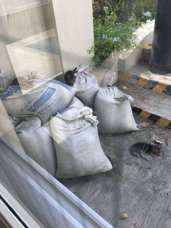 73D9AE55-4FCF-4B20-8F6C-52D698CC0063