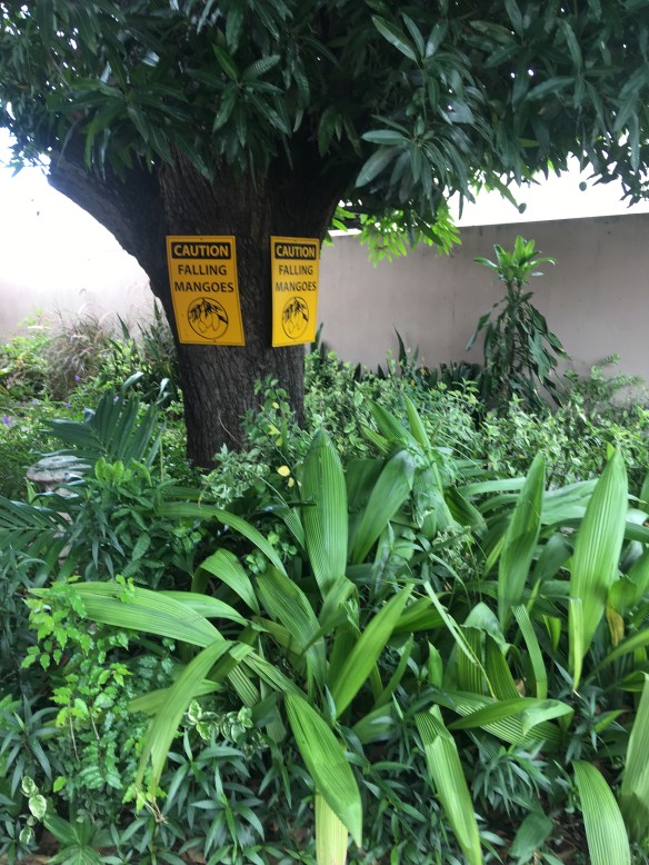 874D1834-80BB-4856-BC8F-29289E36690A