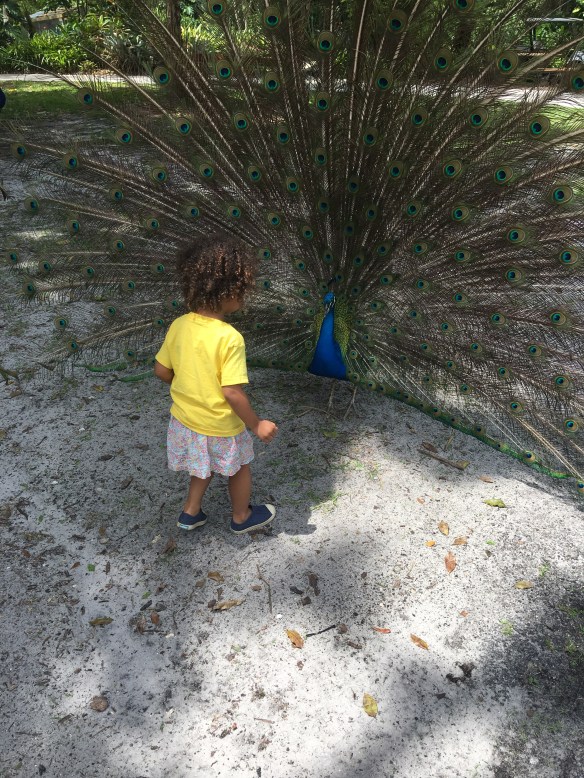 7D9C90F2-34E2-487C-9275-561F50D3EB7D