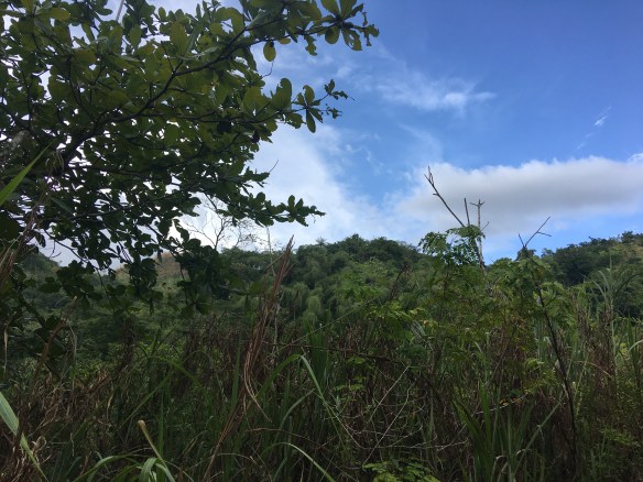 69FB80C7-C7B2-4950-81DC-6112D8F3BCF6