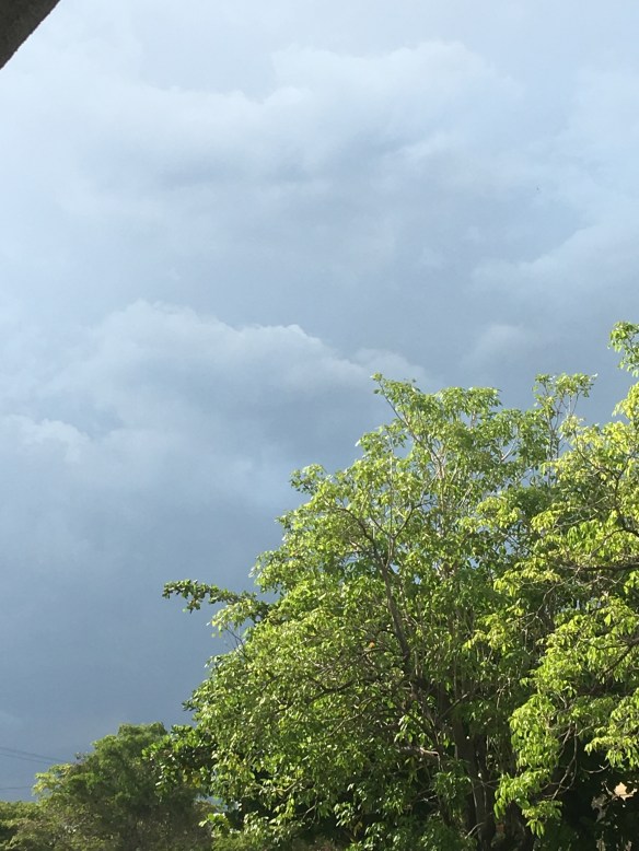 0E49CDFD-44DD-4126-A7E9-CFEDEBA9C12A