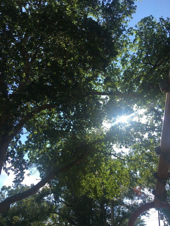 58339FDB-F68F-4BCE-B878-B71E6B58F56E