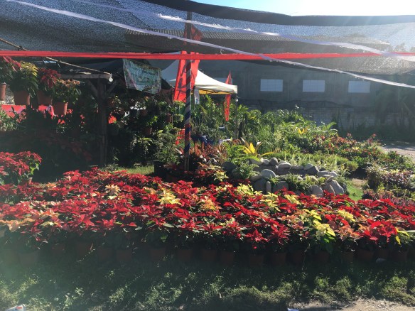 E7EDE3FF-8C70-4E3B-97F5-5053EE0DBC22