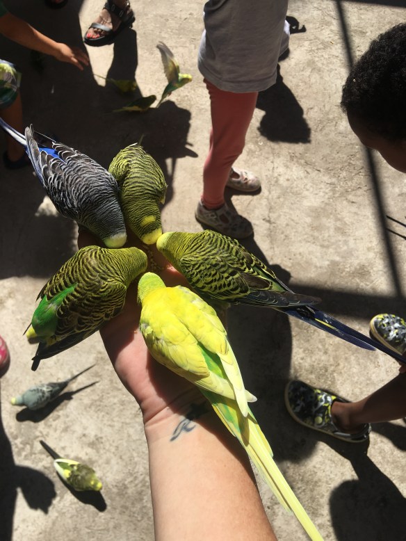 F0A37ABC-F291-4768-BB52-522B6DDC3734