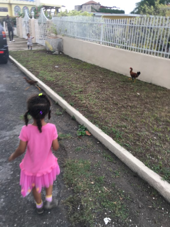 F929D38C-1990-42A0-BE44-CD6116332D9C