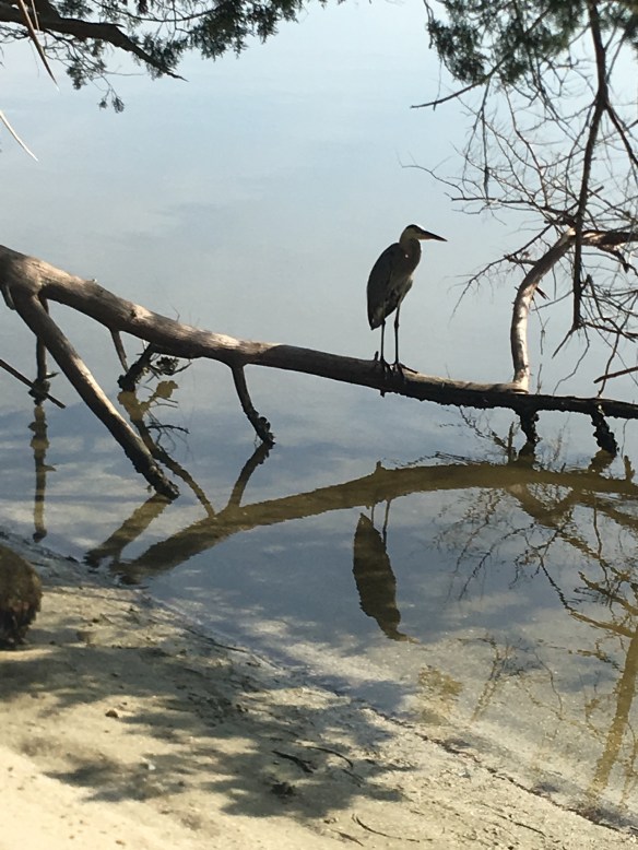 0A65F314-6F57-4987-9D1D-1E809F153275