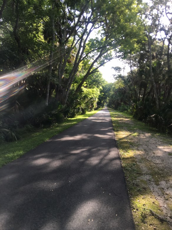 BED823DF-D519-4AD9-8044-73D18F736909