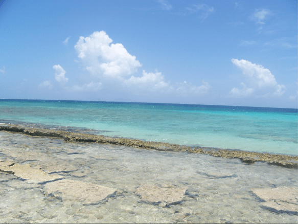 lime cay.png