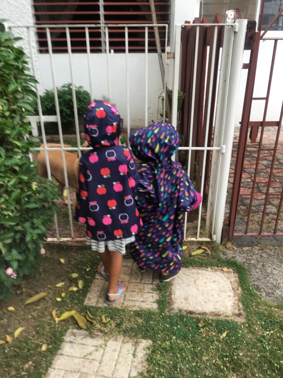 2445FE56-5D17-436D-BE6A-E3C815A1F9D8