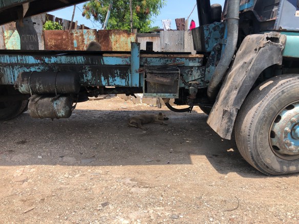 212BB2CE-DAA6-4F2B-A52F-FCC59C819682