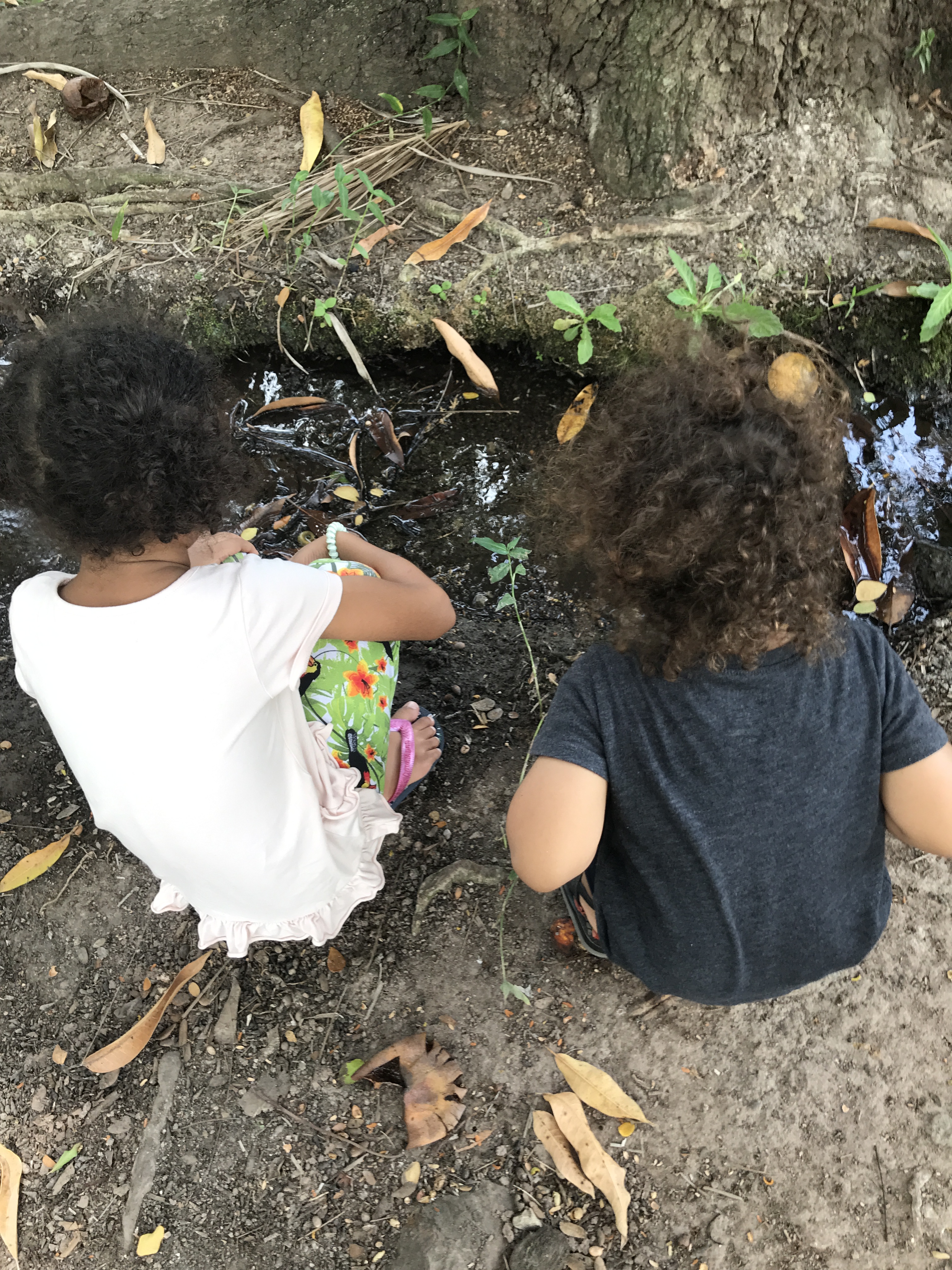 32FF3708-645D-4E00-9DBB-78EDD3915141