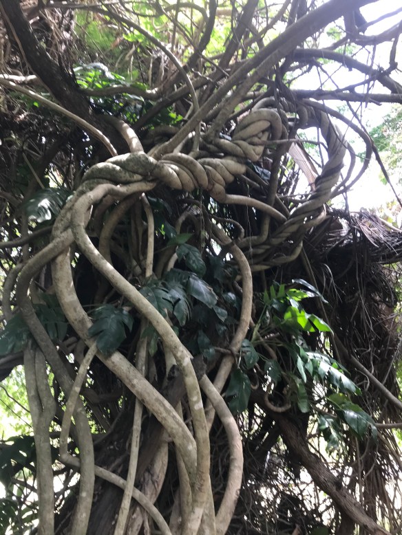 4C027EE7-4BB2-41D4-A7F0-BF51A7F5D450