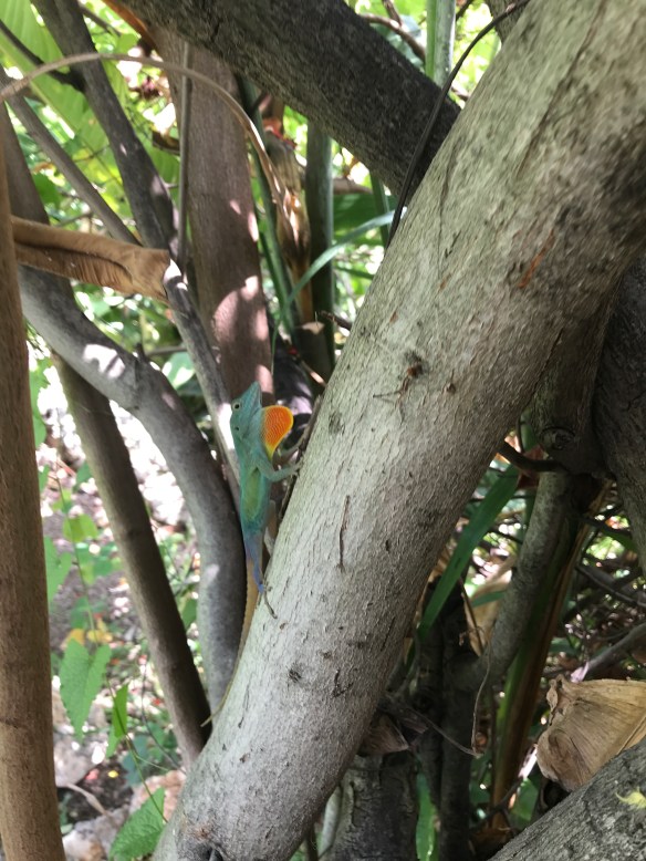 5E8F009B-760C-4FAC-BA2C-F1CA6C06BDED