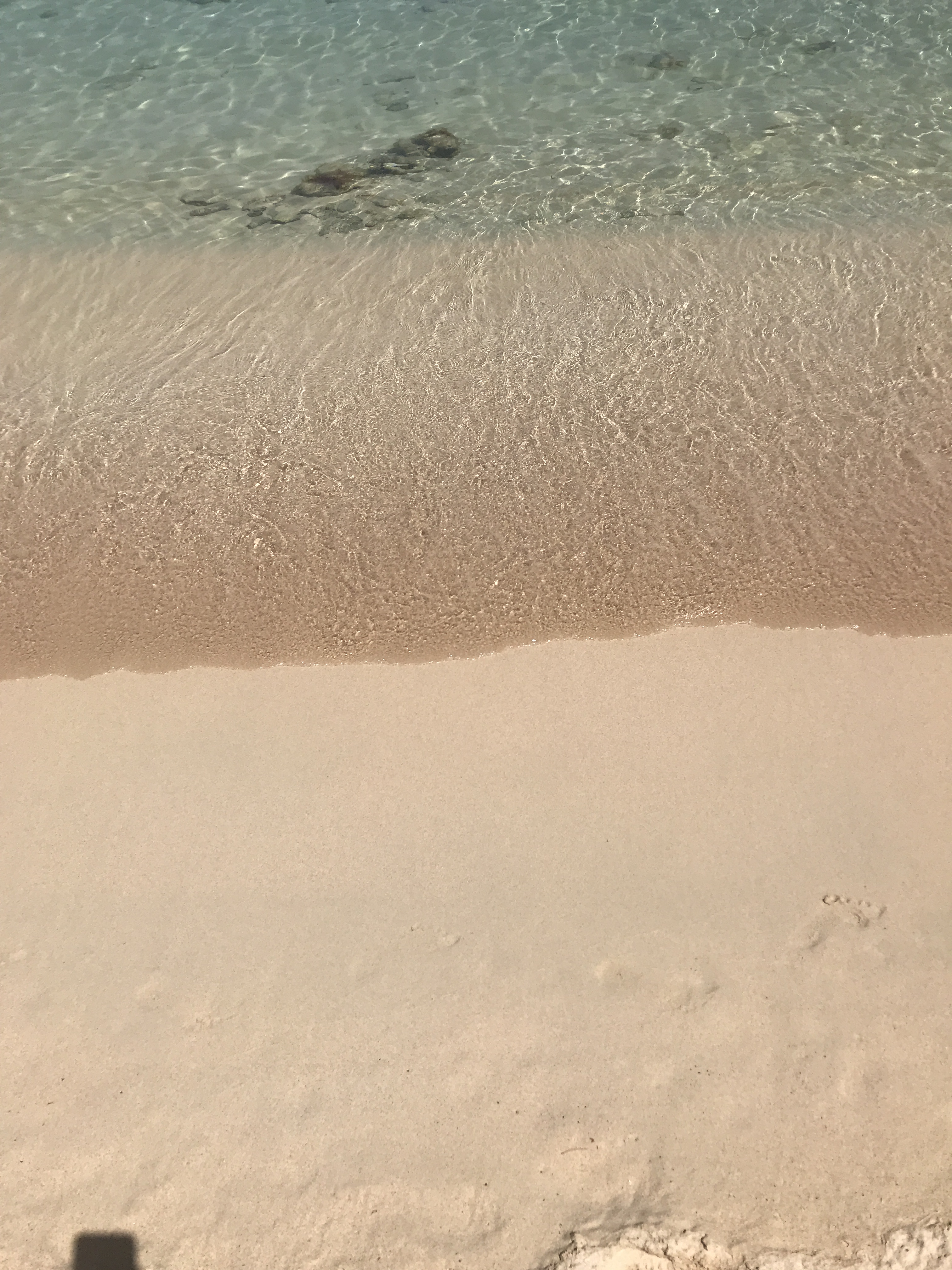 E86927ED-4466-4613-B9CD-7EB6E99FFD1B