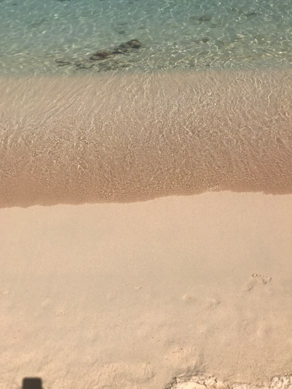 E86927ED-4466-4613-B9CD-7EB6E99FFD1B