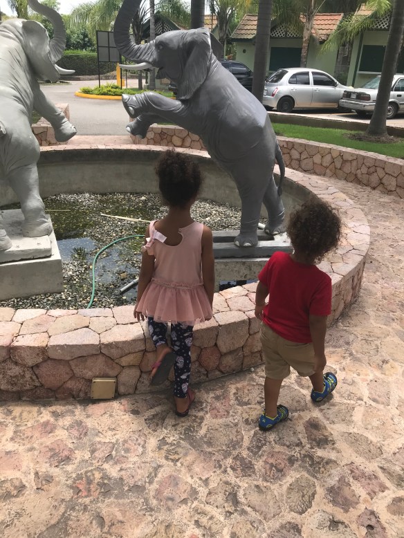 EF56DFFD-FCBB-40D1-854C-85D715C91E81