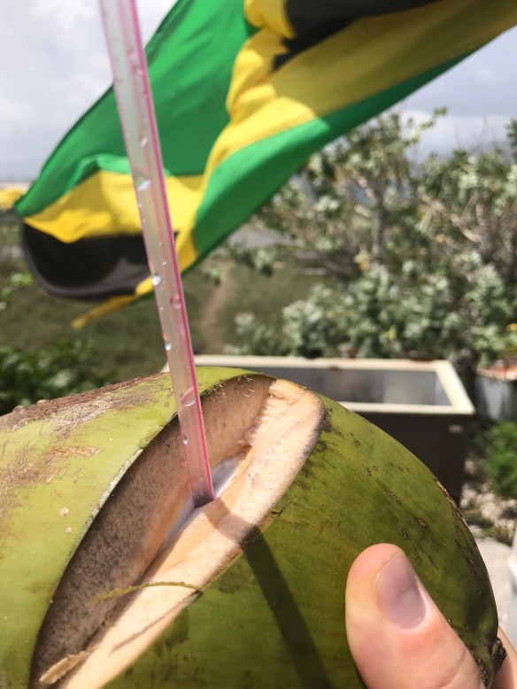 1020BC15-02CA-45CF-87EE-43301B79C637