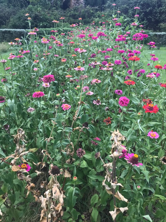 4A4304CF-0A09-4FEE-9F23-B5FBDF0A0C75