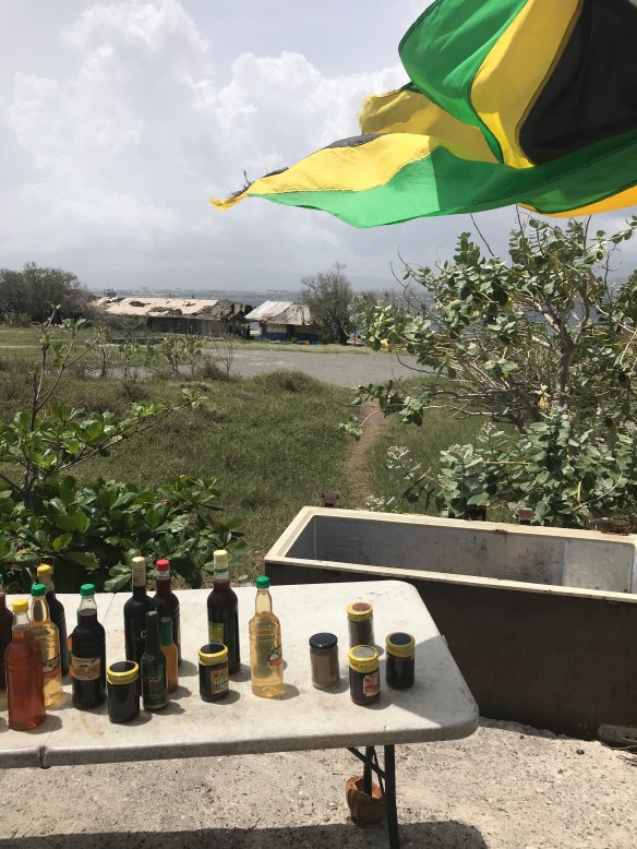 4B8DE1EC-C3B1-437E-82DF-6B21C658450A